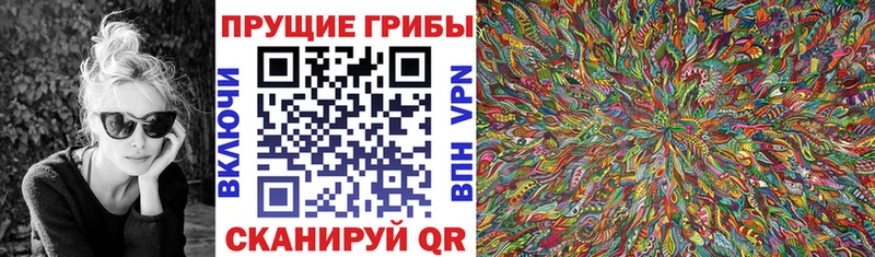Псилоцибиновые грибы Psilocybine cubensis  Нововоронеж 